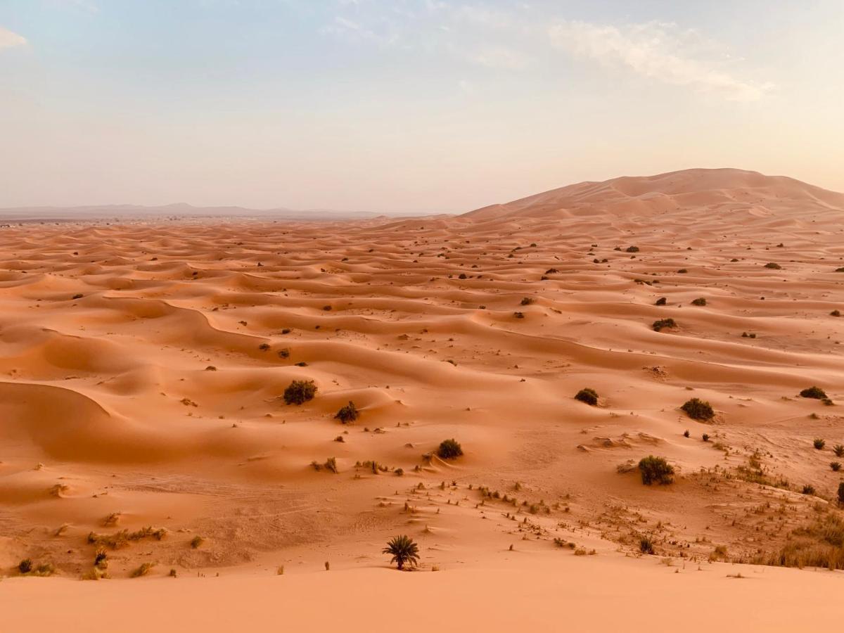 Sahara Wellness Camp Merzouga